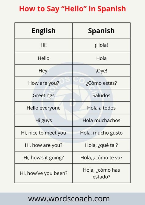 Whether you’re planning a weekend trip to Mexico or thinking about fully committing, the best place to start is by learning how to say “hello” in Spanish.

Different Ways to Say Hello in Spanish (Spain) Different Ways To Say Hello, Hello In Spanish, How To Say Hello, Useful Spanish Phrases, Spanish Words For Beginners, Basic Spanish Words, World Language Classroom, Ways To Say Hello, Sign Language Words