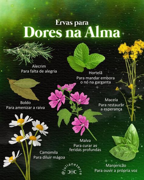 Nature, Herbal Magic For Wiccans, Magia Das Ervas, Wiccan Symbols, Vertical Herb Garden, Wiccan Altar, Magic Herbs, Skin Care Spa, Wiccan Spells