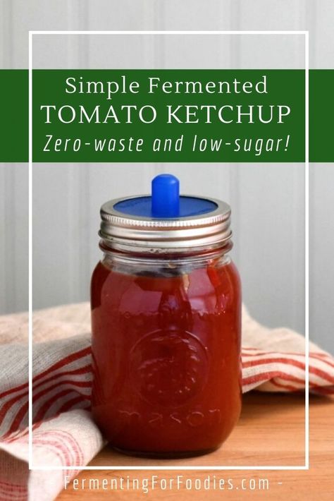 Fermented ketchup is simple, zero-waste, and energy-free. It's a healthy and delicious alternative to store-bought ketchup. Perfect for beginners! Fermented Ketchup Recipe, Fermented Herbs, Fermented Ketchup, Fermentation Station, Kombucha Recipes, Fermented Recipes, Fermented Vegetables Recipes, Fermenting Foods, Cultured Food