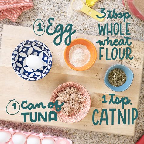 DIY Cat Treat: Fast (and Fishy) Tuna Cat Treats Tuna Cat Treats Homemade, Diy Cat Treats Recipes, Homemade Cat Treats Recipes, Diy Cat Treats, Tuna Cat Treats, Diy Cat Food, Catnip Treats, Homemade Pet Treats, Pet Treats Recipes