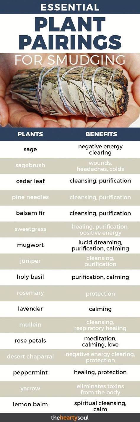 Plant Pairings, Magia Das Ervas, Plant Benefits, Herbal Magic, Healing Herbs, Smudge Sticks, Book Of Shadows, Natural Healing, Herbal Remedies