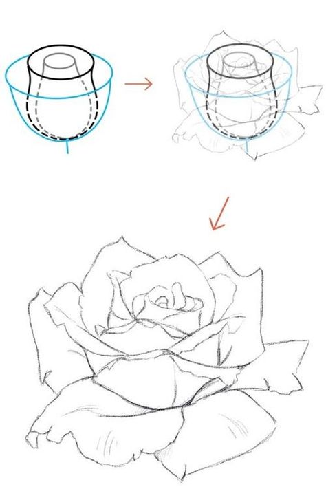 Bilik Perempuan, Ako Kresliť, Draw A Rose, Botanisk Illustration, Flower Drawing Tutorials, Siluete Umane, Flower Art Drawing, Rose Drawing, Flower Sketches