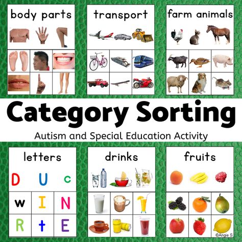 Categories Speech Therapy, Special Education Activities, Picture Prompts, Special Education Resources, Teaching Students, Sorting Activities, Speech Therapy Activities, Language Activities, Language Development