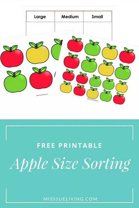 Sort By Size, Size Sorting, Apple Lessons, Sorting Colors, Apple Unit, Apple Theme, Pre K Activities, Homeschool Schedule, Homeschool Kindergarten