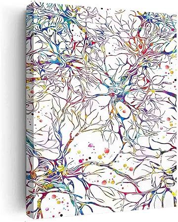 Amazon.com: Country Canvas Art,Neural Network Watercolor Print Abstract Medical Art Science Neurology Brain Cell Psychiatry Therapy Art Doctor Poster Neuron Synapses- 8 in x12 in-Ready to hang: Posters & Prints Brain Abstract Art, Abstract Science Art, Synapse Neurons Art, Psychiatry Art, Neurological Art, Neuron Art, Science Painting, Doctor Poster, Brain Painting