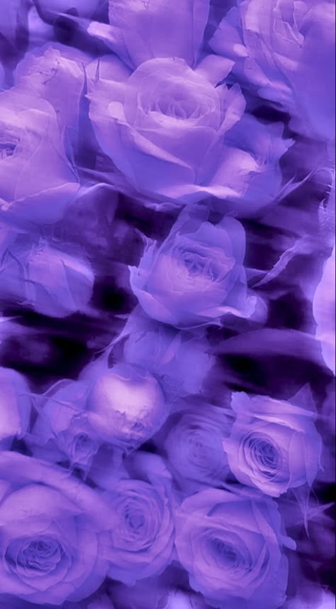 Purple Aesthetic Wallpaper Flower, Light Purple Flowers Wallpaper, Aesthetic Purple Wallpaper Dark, Purple Wallpaper Flowers, Dark Lavender Aesthetic, Purple Background Flowers, Black Purple Wallpaper, Purple Asthetics Wallpaper, Purple Aesthetic Flowers