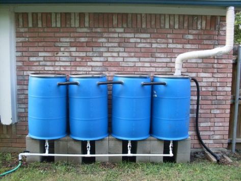 Rainwater Harvesting Solutions at Your Doorstep! Rain Barrel System, Water Collection System, Koti Diy, Acre Homestead, Pelan Rumah, Water Barrel, Top Diy, Water Collection, Rainwater Harvesting