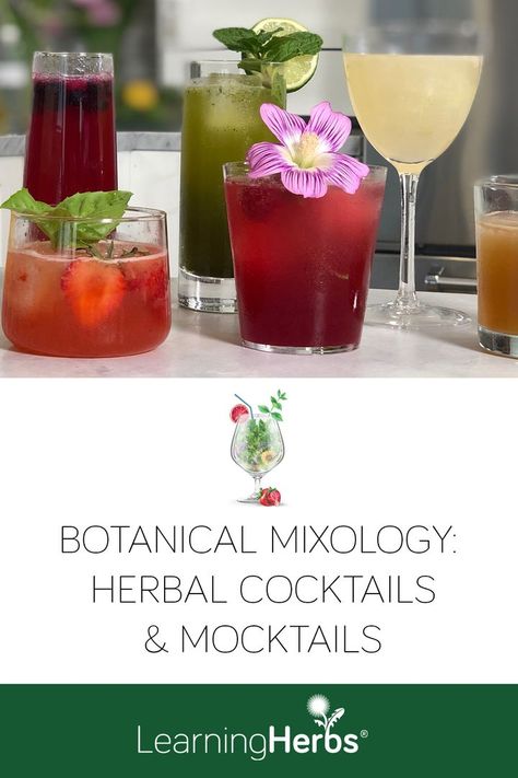 Botanical Mixology: Craft Herbal Cocktails & Mocktails That Come Out Delicious Every Time https://learningherbs.com/botanical-mixology/ Herbal Tea Cocktails, Plant Themed Cocktails, Herbal Elixir Recipes, Elixers Herbal, Herbal Cocktail Recipes, Herbal Mocktail Recipes, Botanical Mocktails, Botanical Mixology, Elixer Recipes