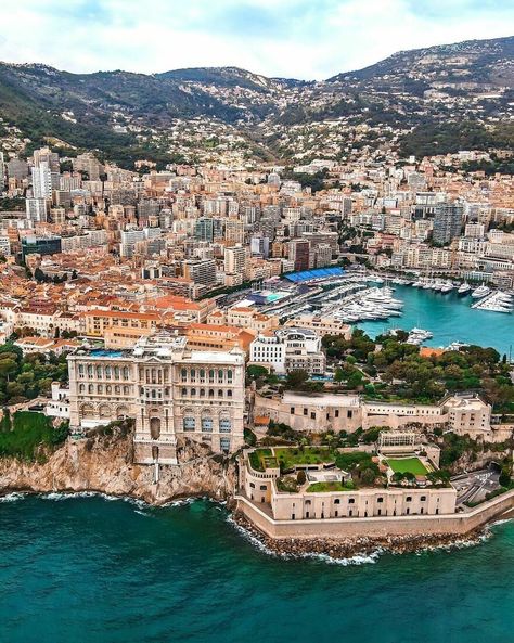 Monaco City Tree, Monte Carlo Monaco, Dream Travel Destinations, Cote D’azur, Beautiful Place, Travel Goals, Travel Inspo, Nature Beautiful, South Of France