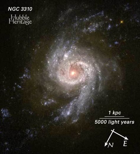 Starburst Galaxy NGC 3310 Blazes With Star Formation Star Formation, Light Year, Stars