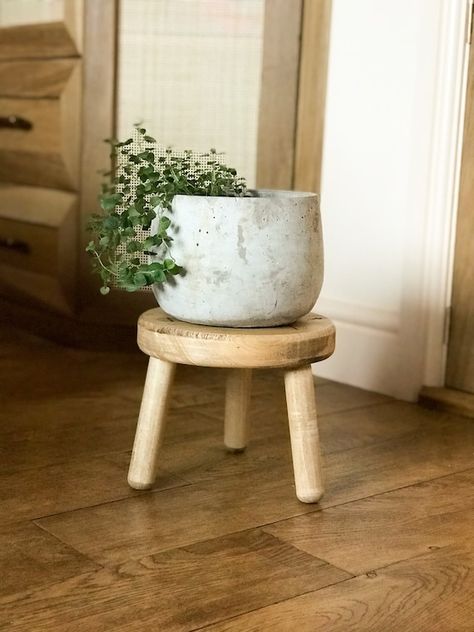 Plant Stool, Window Plant Shelf, Rustic Plant Stand, Chinese Plants, Peace Lily Plant, Rustic Stools, Corner Plant, Garden Plant Stand, Tall Plant Stands