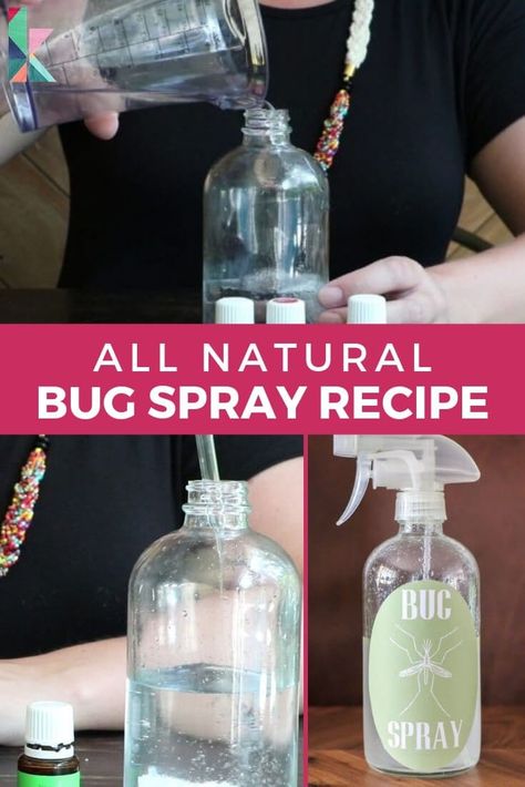 Here is an all natural DIY bug spray is easy to make and is very effective! This is the recipe I love to use. #allnaturalbugspray #bugspray #bugspraydiy Noseeums Repellant Diy, Natural Bug Repellent For Home, Day Spa Decor Ideas, Natural Bug Spray Recipe, Spa Decor Ideas, Day Spa Decor, Asian Beetle, Homemade Bug Repellent, Essential Oil Bug Spray