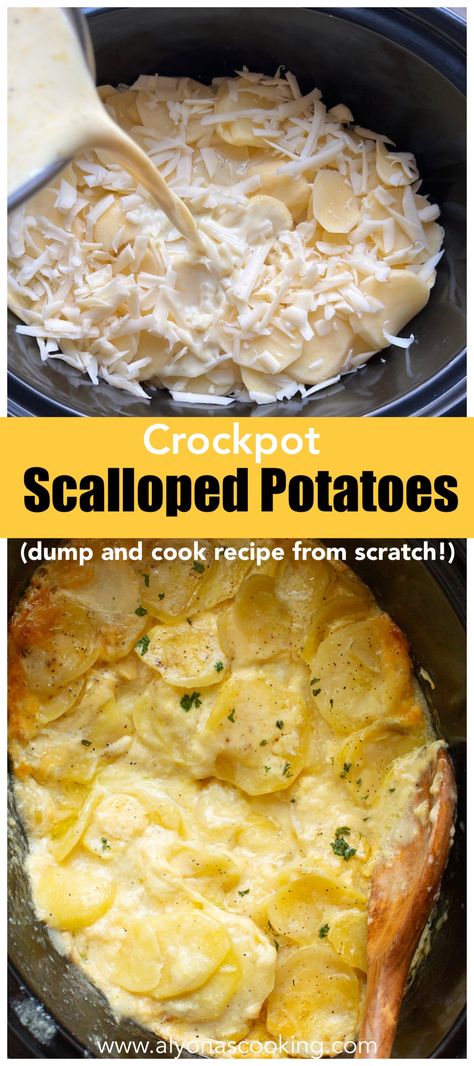 cheesy scalloped potatoes in a creamy sauce with mustard Best Crockpot Scalloped Potatoes, Scalloped Potatoes Easy Crockpot, Slow Cooker Scalloped Potatoes No Cheese, Easy Potato Recipes Crock Pots, Crockpot Cheesy Potatoes Hashbrowns, Slow Cooker Scalloped Potatoes Easy, Crock Pot Scalloped Potatoes Slow Cooker, Crockpot Side Recipes, Augratin Potatoes Crockpot Slow Cooker