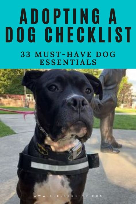 Dog Checklist, Dog Essentials Products, Shelter Dogs Adoption, Dog Boutique Ideas, Animal Rescue Ideas, Adopting A Dog, Dog Quote, Dog Essentials, Shelter Dog