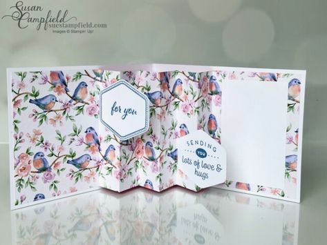 Susan Campfield Stampinup, Su Flight And Airy Cards, Stampin Up Flight And Airy, Flight And Airy Dsp, Flight And Airy Stampin Up Cards, Stampin Up Flight And Airy Dsp, Stampinup Cards Newest 2023-2024, Saleabration 2024, Pleated Cards