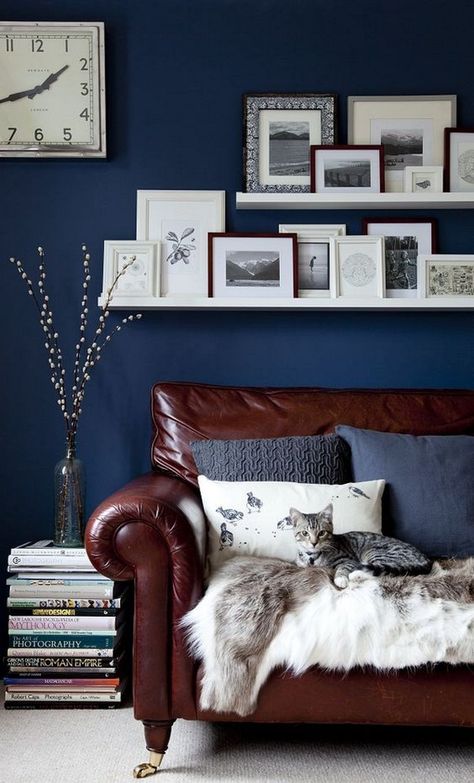 Brown leather sofa with navy blue wall Navy Accent Walls, Sofa Kulit, Brown And Blue Living Room, Colors Combinations, Brown Leather Sofa, Brown Living Room, Brown Sofa, Blue Living Room, Blue Rooms