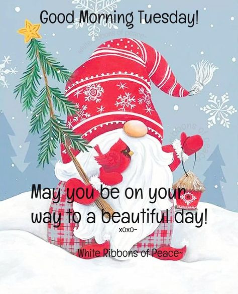 Happy Tuesday Christmas Images, Happy Tuesday Christmas, Tuesday Christmas, Funny Good Morning Wishes, Tuesday Quotes Good Morning, Tuesday Greetings, Good Morning Christmas, Good Morning Winter, Good Morning Wishes Gif