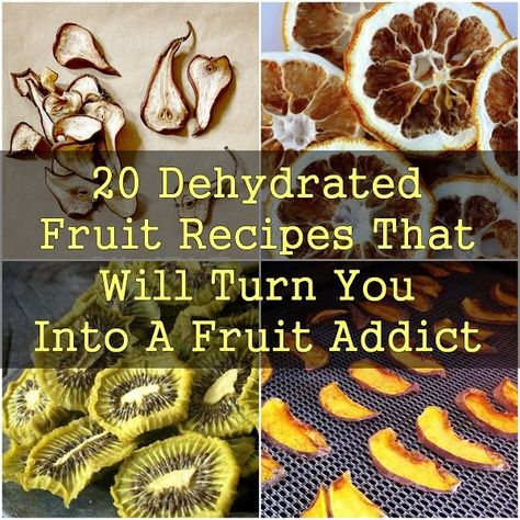 20 Dehydrated Fruit Recipes That Will Turn You Into A Fruit Addict #howlongdoesdehydratedfruitlast Dehydrated Fruit Recipes, Dehydrator Recipes Fruit, Food Dehydrator Recipes, Dehydrated Food Recipes, Dehydrator Ideas, Dehydrated Recipes, Dehydrating Recipes, Dehydrated Fruits, Food Dehydration