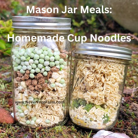 Mason Jar Meals In A Jar: Homemade Cup Noodles Mason Jar Soup, Mason Jar Mixes, Jar Mixes, Freeze Dried Meat, Freeze Dried Vegetables, Homemade Dry Mixes, Jar Meals, I Am Sick, Soup In A Jar