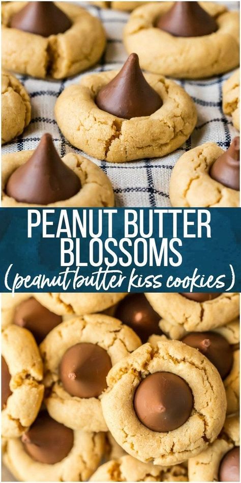 Peanut Butter Blossoms are a classic cookie recipe that is easy to make and loved by all! This BEST Peanut Butter Kiss Cookies Recipe has been in our family for years. Chocolate Peanut Butter Cookies are perfect for Christmas baking, but also made for enjoying year round, especially at Summer BBQs. #cookies #christmas #baking #peanutbutter #chocolate #hershey  #hersheyskiss #blossoms #cookie #cookies #howiholiday  #holiday #easyrecipe via @beckygallhardin #thecookierookie Peanut Butter Hershey Kiss Cookies, Peanut Butter Kiss Cookies Recipe, Blossoms Cookies, Kiss Cookies Recipe, Kiss Cookie Recipe, Peanut Butter Blossoms Recipe, Chocolate Hershey, Peanut Butter Blossom, Peanut Butter Kiss