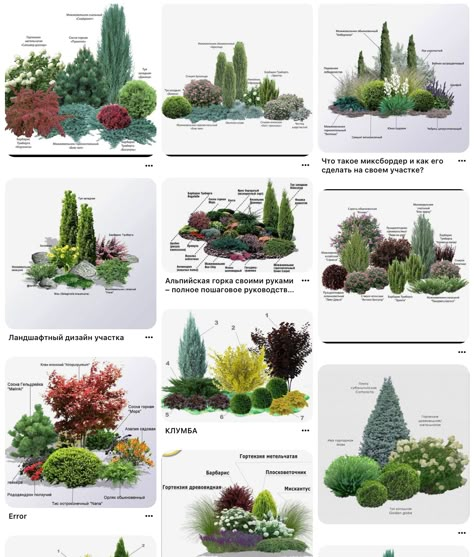 Front Garden Landscape Design, Evergreen Landscape Front Yard, Flower Garden Plans, Small Garden Landscape, Front Garden Landscape, Landscaping With Large Rocks, Front Landscaping, Garden Design Plans, Have Inspiration