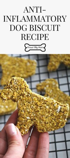 Gluten Free Dog Treat Recipes, Dog Biscuit Recipe, Healthy Dog Biscuits, Gluten Free Dog Treats, Dog Biscuit, Dog Biscuit Recipes, Easy Dog Treats, Healthy Dog Treats Homemade, Dog Treats Homemade Recipes