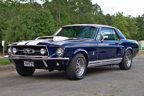 For Sale: 1967 Ford Mustang Coupe (dark blue, modified, 427ci V8, 4-speed auto) Classic Ford Cars, 1967 Ford Mustang Coupe, Mustang Cars 1967, Blue Ford Mustang, 1967 Mustang Coupe, Mustang Blue, Classic Ford Mustang, Mustang 67, 67 Ford Mustang