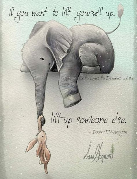 An Elephant, Inspirational Thoughts, Quotable Quotes, Inspiring Quotes About Life, A Quote, Wise Quotes, Good Thoughts, Positive Thoughts, Beautiful Quotes