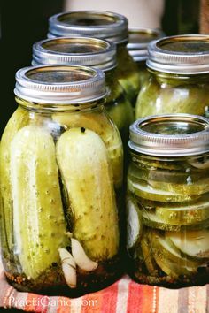 Frig Pickles, Can Garlic, Crispy Dill Pickles, Pickled Recipes, Garlic Dill Pickles, Canning Salt, Dill Pickle Recipe, Pickle Recipes, Blt Pasta