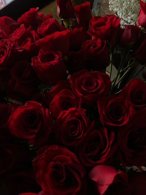 #redroses #bouquet #babysbreath #valentinesday Dark Red Roses Aesthetic, Red Aesthetic Flowers, Rose Flowers Aesthetic, Outdoor Wedding Diy, Red Roses Aesthetic, Dark Red Flowers, Party Centerpieces Diy, Deep Red Roses, Maroon Flowers