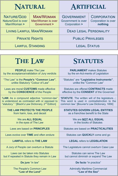 Gods Law Vs Mans Law, Law Facts, Types Of Law, Law Knowledge, Government Lessons, Nature God, Law School Prep, Michelle Carter, Teaching Government