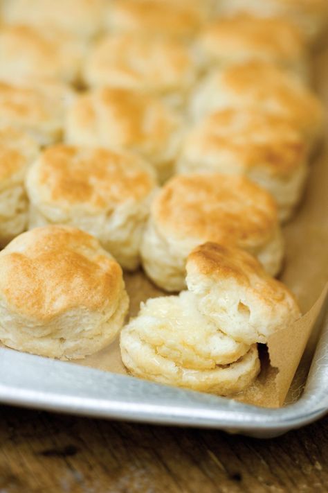 Plenty of Biscuits and Cornbread Paleo Biscuits, Best Buttermilk Biscuits, Southern Buttermilk Biscuits, Southern Living Recipes, Southern Biscuits, Buttermilk Biscuits Recipe, Homemade Buttermilk, Southern Dishes, Biscuits Recipe