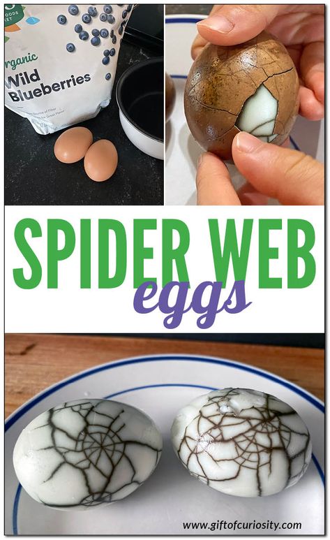 Halloween Snack For Kids, Spider Printable, How To Make Spiders, Blueberry Water, Spider Eggs, Halloween Snacks For Kids, Snack For Kids, Halloween Snack, Spider Crafts