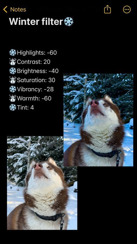 Winter Photo Filter, How To Add Filters To Photos, Winter Photo Edit, Winter Filter Iphone, Aesthetic Photo Settings, Winter Pictures Instagram, Iphone Camera Filters, Winter Filter, Filter Photo Editing