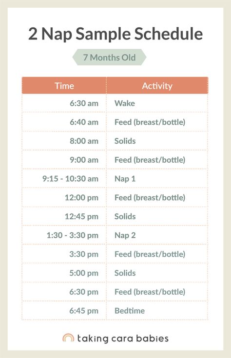 6 Month Sleep Schedule, 10 Month Old Schedule, 7 Month Old Sleep, 6 Month Old Schedule, 6 Month Old Sleep, Taking Cara Babies, Wake Windows, Uppfostra Barn, Moms On Call