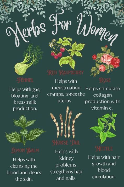 #FitnessTips #Wellness #HealthyLiving #FitLife #SelfCare #HealthyLifestyle #NutritionTips #HealthTips Herbs For Women, Books And Tea, Medical Herbs, Magia Das Ervas, Magic Herbs, Feminine Health, Natural Healing Remedies, Herbal Healing, Women Poster