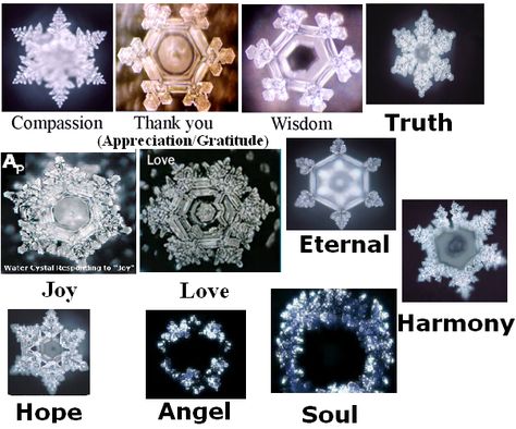 The Physical Effects of Prayer (Transformation of Patterns)..., page 1                                                                                                                                                                                 More Dr Emoto, Masaru Emoto Water, Snowflake Tattoos, Simbolos Tattoo, Water Crystals, Science Tattoo, Masaru Emoto, Water Experiments, Water Molecule