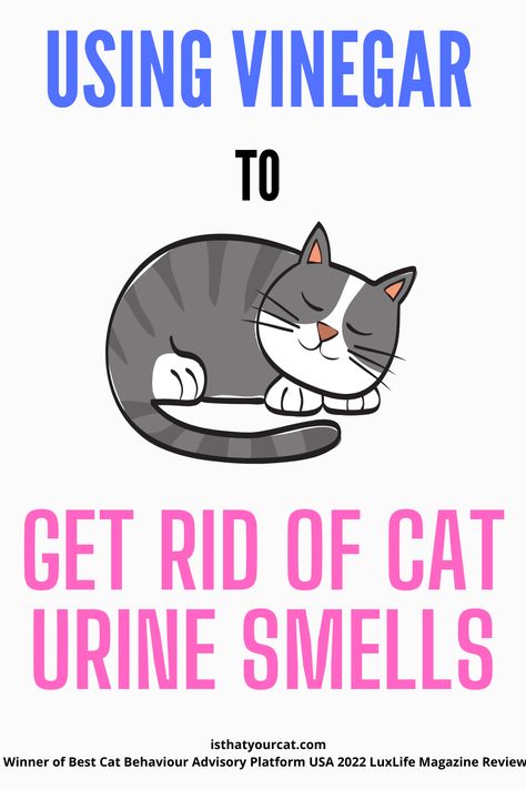 Remove Cat Urine Smell From Carpet, Cat Urine Smell Remover Odor Eliminator, Diy Cat Urine Odor Remover, How To Get Cat Pee Smell Out Of Wood, Neutralize Cat Urine Odor, Cat Spray Smell How To Remove, How To Remove Cat Urine Smell, Get Rid Of Cat Urine Smell, How To Get Rid Of Cat Urine Smell