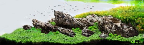 Dragon Stone aquascape Ohko Stone Aquascape, Dragon Stone Aquascape, Stone Aquascape, Rock Dragon, Tanaman Air, Red Cherry Shrimp, Stone Dragon, Aquarium Rocks, Cherry Shrimp