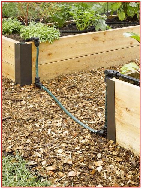 Soaker Hose Irrigation, Garden Watering System, Raised Bed Garden Design, Soaker Hose, Vegetable Garden Raised Beds, Diy Raised Garden, Raised Garden Beds Diy, Survival Gardening, Watering & Irrigation