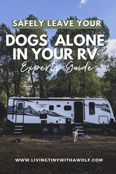 Rv Dog Space, Full Time Rv Living With Dogs, Motorhome With Dogs, Full Time Rving With Dogs, Dogs In Camper, Rv Camping With Dogs Hacks, Rv Pet Hacks, Rv Life With Dogs, Dog Rv Ideas