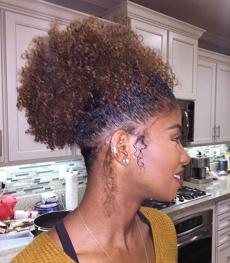 Colored Ponytail, Ponytails Extension, Undercut Natural Hair, Afro Ponytail, High Puff, Hair Motivation, 4a Hair, Afro Puff, Natural Curls Hairstyles