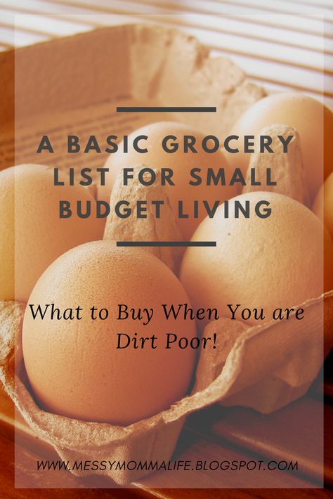 Buying Groceries On A Budget, Grocery Essentials Shopping Lists, Grocery List On A Budget 2023, Broke Grocery List, How To Meal Plan On A Budget, Grocery Staples List Budget, Budget Friendly Grocery List Healthy, Simple Grocery List For Two, How To Grocery Shop Every 2 Weeks