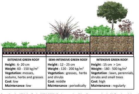 Green Roof Planting, Types Of Green, Extensive Green Roof, Green Roof Garden, Green Roof Building, Green Roof System, Grass Roof, Roof Garden Design, Urban Heat Island