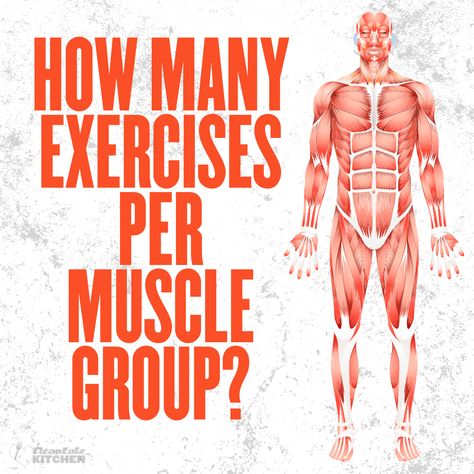 Exercises For Each Muscle Group, Arm Muscle Groups, Muscle Group Workout, Muscle Groups To Workout, Workout Planning, Group Workout, Invest In Your Health, Get Shredded, Natural Alternatives