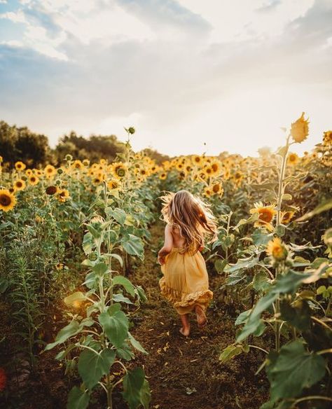 LOOKSLIKEFILM on Instagram: "📸 by @midwest_momtog_mackenzie" Pictures With Sunflowers, Sunflower Mini Session, Firefly Photography, Sunflower Field Photography, Sunflower Field Pictures, Spring Arts And Crafts, Sunflower Photography, Maternity Photography Poses Pregnancy Pics, Sunflower Photo