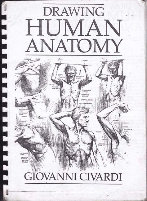 drawing human anatomy by Giovanni Civardi // http://pl.scribd.com/doc/117863683/drawing-human-anatomy-by-Giovanni-Civardi whole book here Drawing Human Anatomy, Beginner Drawing Lessons, Drawing Heads, Human Anatomy Drawing, Human Figure Drawing, Human Drawing, Basic Drawing, Comic Drawing, Book Drawing