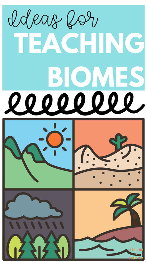 Looking to teach your students about biomes? This comprehensive blog post is a must-read for elementary science teachers! It covers engaging activities through detailed explanations, this blog post will help you bring the diverse world of biomes to life in your classroom. Perfect for enhancing your science lessons and keeping your students excited about learning. Pin this for your next lesson plan! #ElementaryScience #TeachingBiomes #ScienceActivities #ClassroomIdeas #TeacherTips Biome Activities, Biome Project Ideas, Teaching Biomes, Biomes Activities, Biology Lesson Plans, Elementary Science Teacher, Biomes Project, 4th Grade Science, Biology Lessons