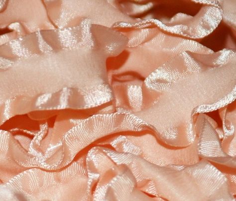 Peach Peach Ribbon, The Giant Peach, Christmas Gift Packaging, Perfect Peach, Shades Of Peach, Peach Blush, Peaches Cream, Peaches N Cream, Peach Wedding