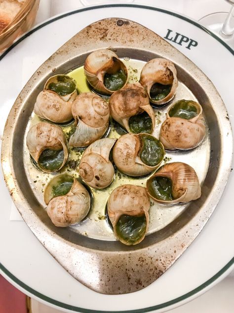 Traditional Escargot Dish French Cuisine Photography, French Dishes Aesthetic, Aesthetic French Food, France Food French Cuisine, French Cuisine Aesthetic, Hangover Brunch, Best French Food, Traditional French Food, French Seafood